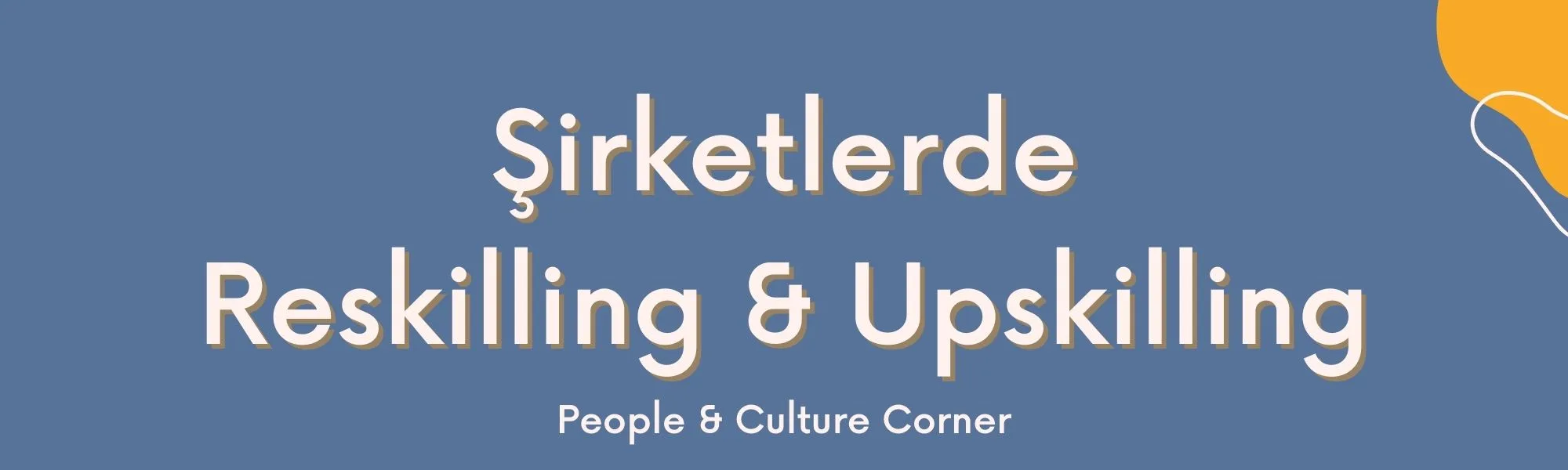 Şirketlerde Reskilling & Upskilling