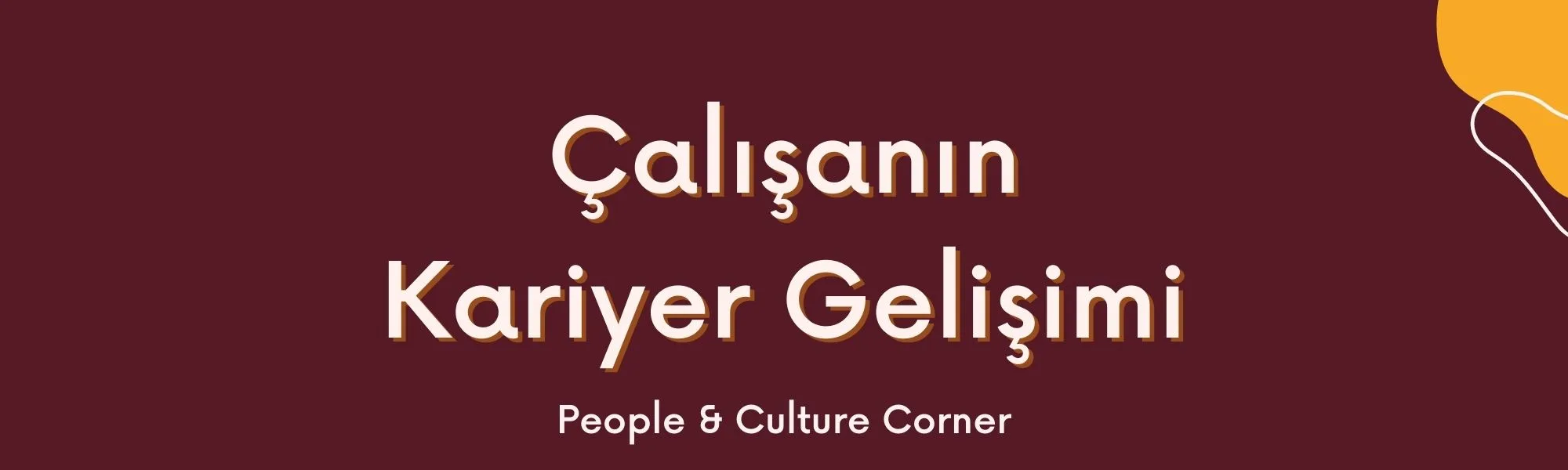 Şirketlerde Kariyer Planlama